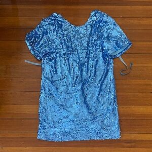 Amazon Blue Sequin Dress